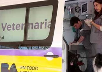 Mataderos: Jornada de Vacunación Antirrábica para mascotas