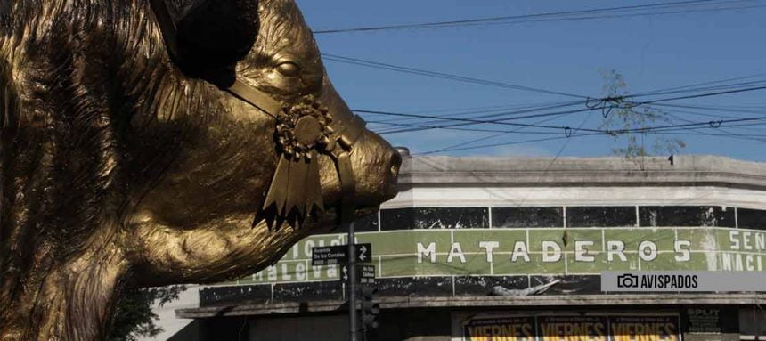 Cumpleaños de Mataderos