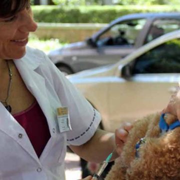 Zoonosis Luis Pasteur