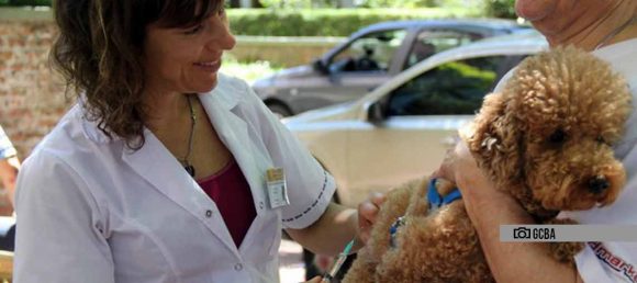 Zoonosis Luis Pasteur