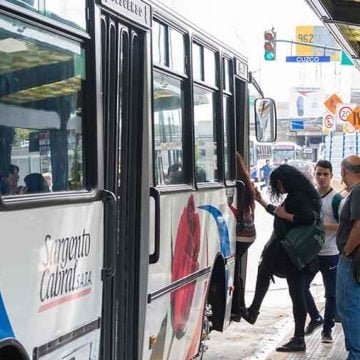 A partir del lunes, aumentará el transporte público