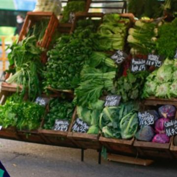 Cambios en la disposición del espacio público de la Comuna 9 durante el aislamiento