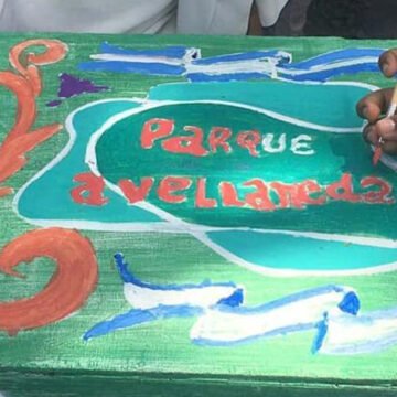 aulas a cielo abierto