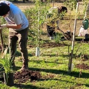 Parque Avellaneda: Buscan reconocer el sendero de plantas nativas