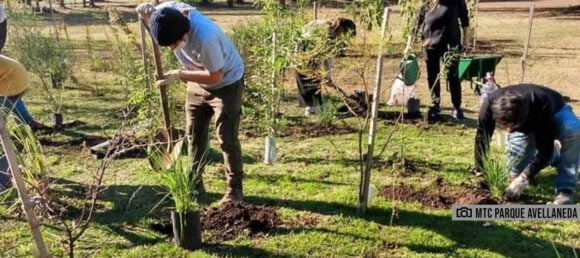 Parque Avellaneda: Buscan reconocer el sendero de plantas nativas