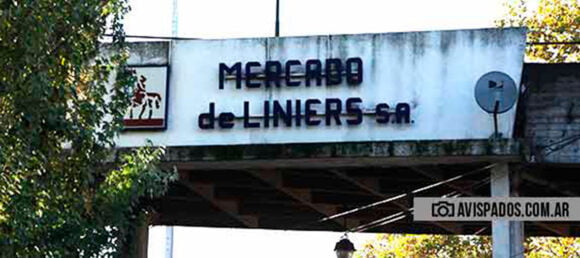 Acusan al Mercado de Hacienda por contaminación de aguas en 2017 y 2018