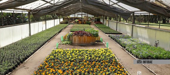 El Parque Avellaneda entregará 70 mil flores a los espacios verdes de la Ciudad