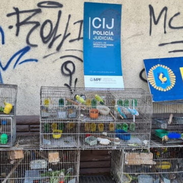 Liniers: Clausuraron un criadero ilegal de aves
