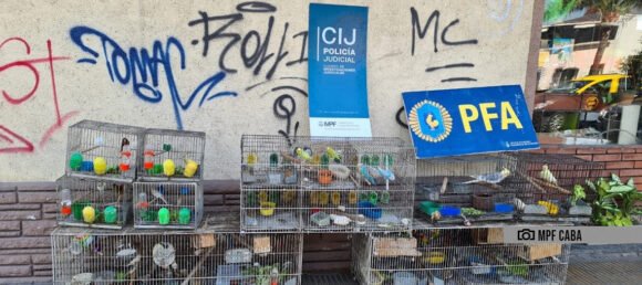 Liniers: Clausuraron un criadero ilegal de aves