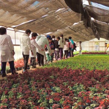 Pondrán en valor el vivero del Parque Avellaneda