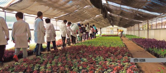 Pondrán en valor el vivero del Parque Avellaneda
