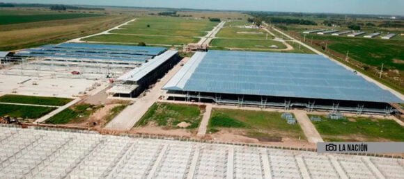 Mercado de Hacienda: Comenzaría a operar en Cañuelas en abril