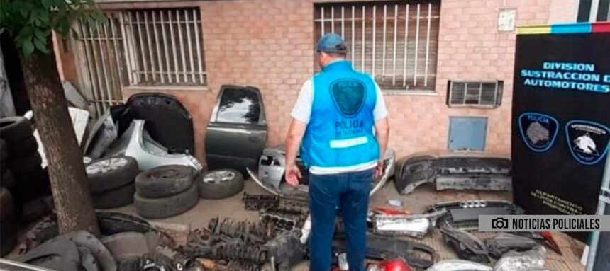 Desbarataron un desarmadero ilegal en Parque Avellaneda