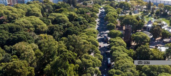 El Consejo Consultivo invita a una charla sobre la importancia del arbolado