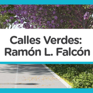 Opiná sobre el proyecto Calle Verde Ramón L. Falcón