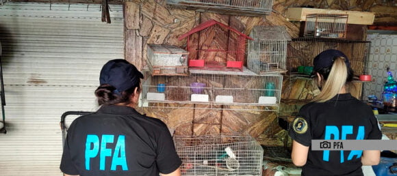 Mataderos: Rescataron aves y tortugas que iban a ser vendidas de forma ilegal