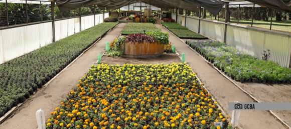 vivero parque avellaneda