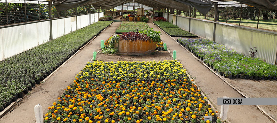 2517 vivero parque avellaneda