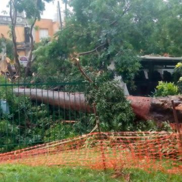 El temporal también se sintió en la Comuna 9