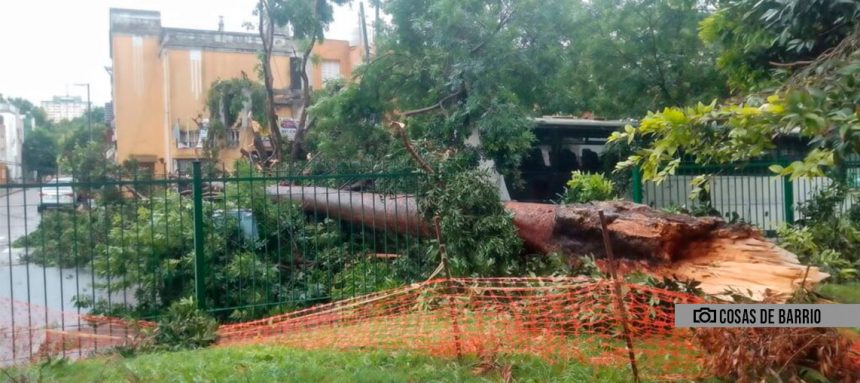 El temporal también se sintió en la Comuna 9