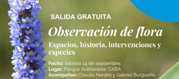 Observación de flora en el Parque Avellaneda