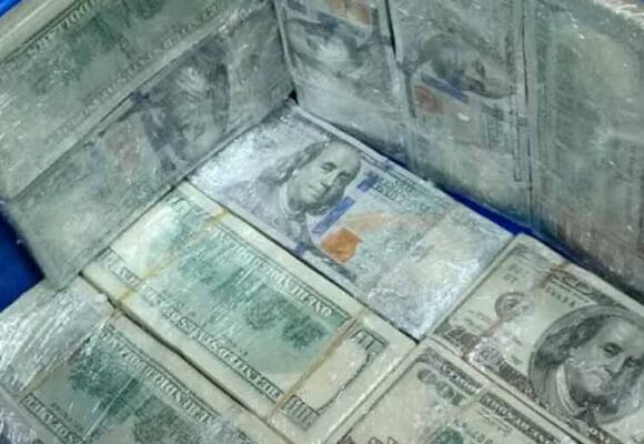 Incautaron más de 175 mil dólares en una conservadora en la terminal de Liniers